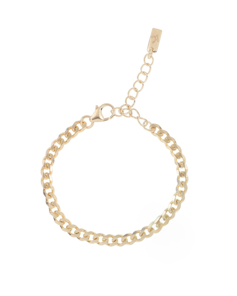 A polished gold anklet featuring a delicate chain design, displayed on a white background to highlight its craftsmanship.