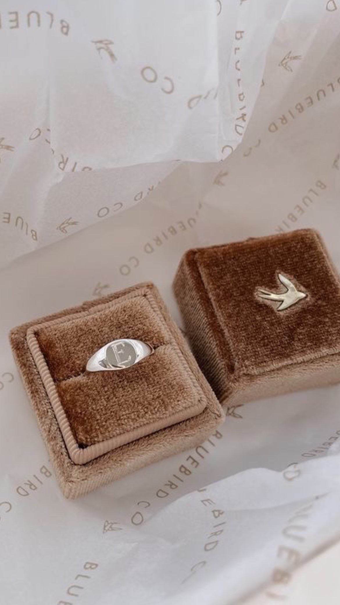 Gifts Under $100