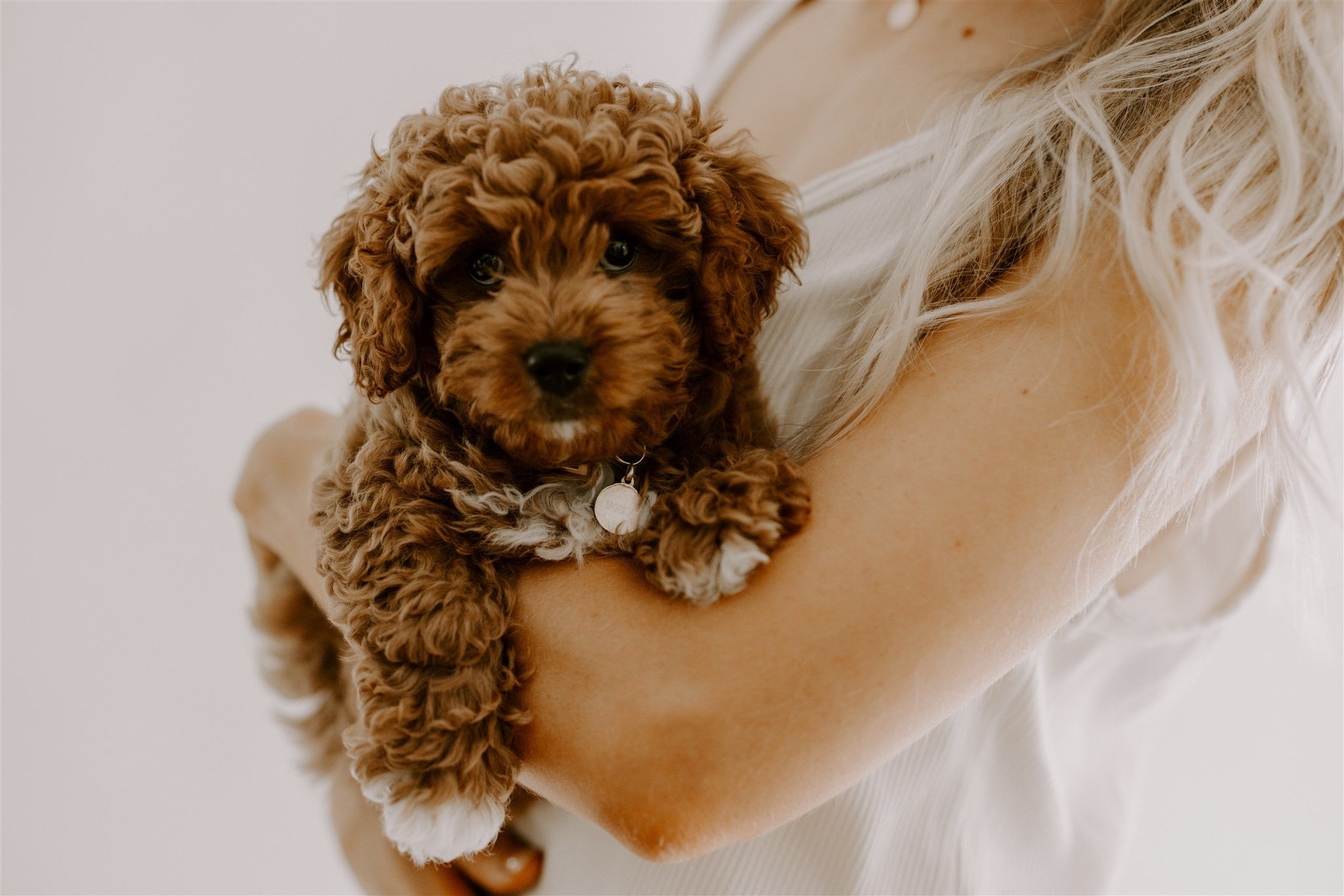 Pet Pendants