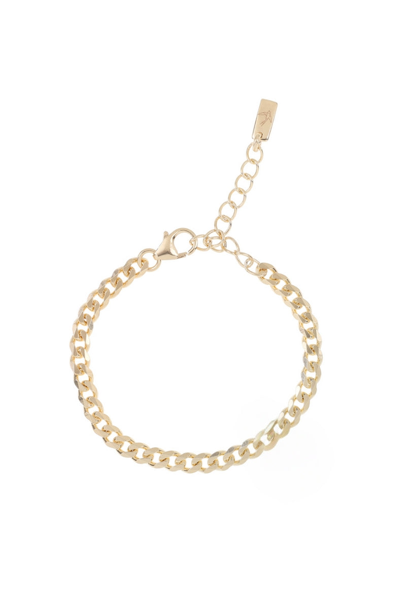 A polished gold anklet featuring a delicate chain design, displayed on a white background to highlight its craftsmanship.