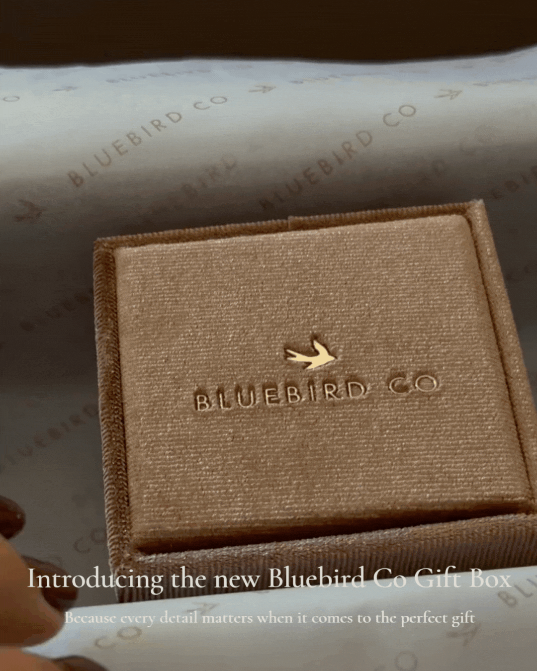Adult Vintage Pearl Signet Ring - Silver – Bluebird Co.